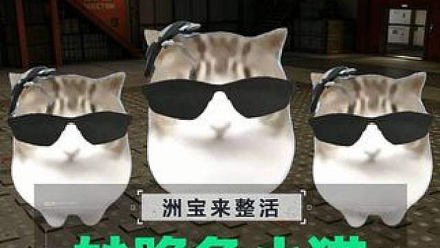 谁不想拥有一只这么可爱的小猫呢？
