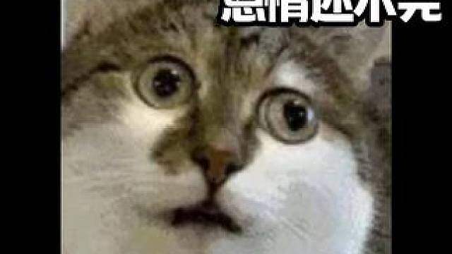 整整4000点券啊 整整4000点券啊