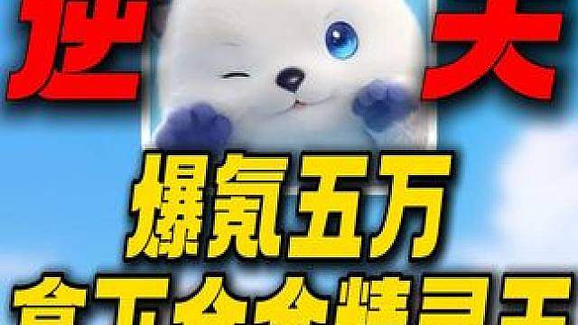 爆氪五万拿下全金精灵王！比虹光还稀有的形态？