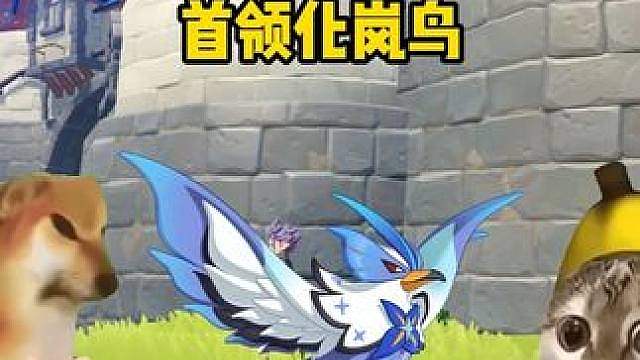 挑选你的极速对决精灵