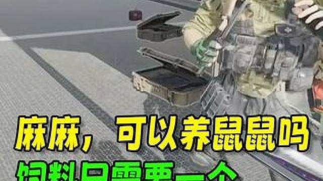 鼠鼠大家庭，和谐友爱一起赢！
