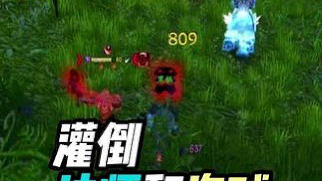 防战大显神威灌倒法师和盗贼