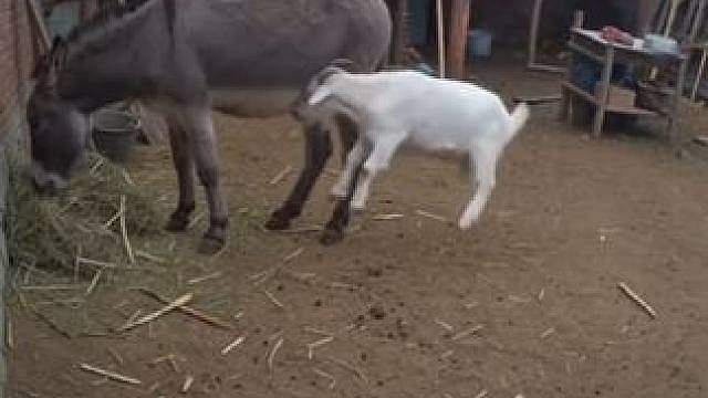 这辈子也算值了
