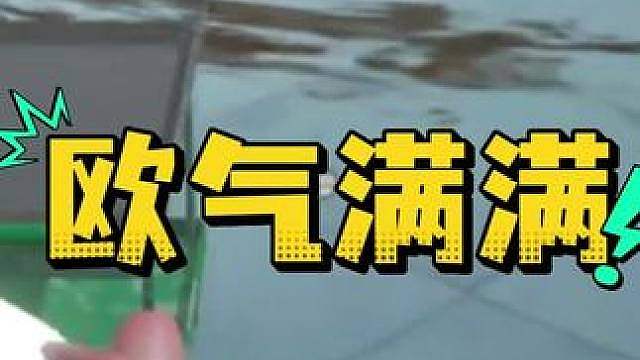 惊魂寻宝队之门口金箱子