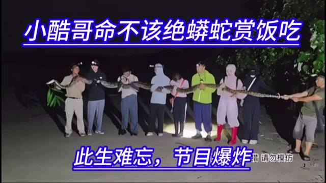 小酷哥命不该绝蟒蛇赏饭吃，此生难忘，节目爆炸。