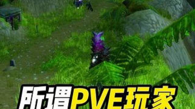 PVP服务器的所谓PVE玩家