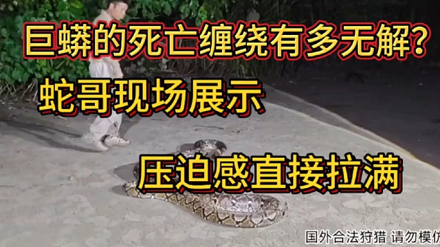 巨蟒的死亡缠绕有多无解？蛇哥现场展示，压迫感直接拉满