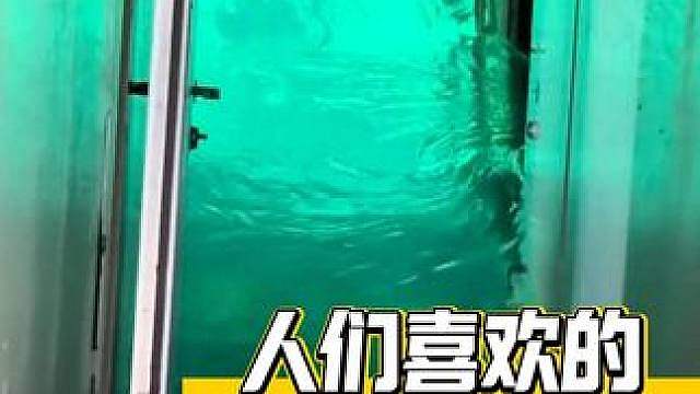 人们永远喜欢的都是大海边边，而不是大海