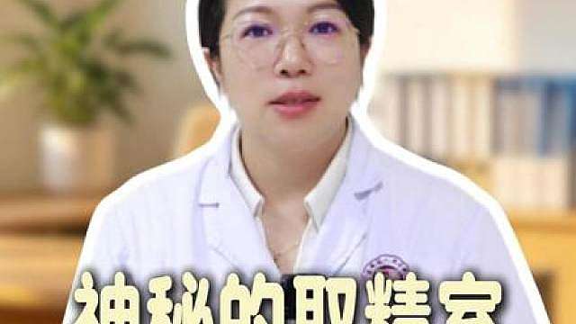 三角洲行动