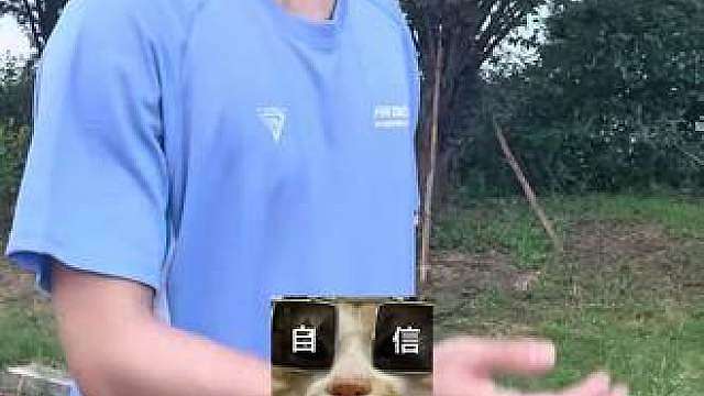 糟糕 我的五冠飞走了