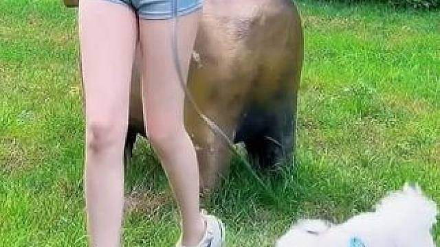 享受难得的假期吧
