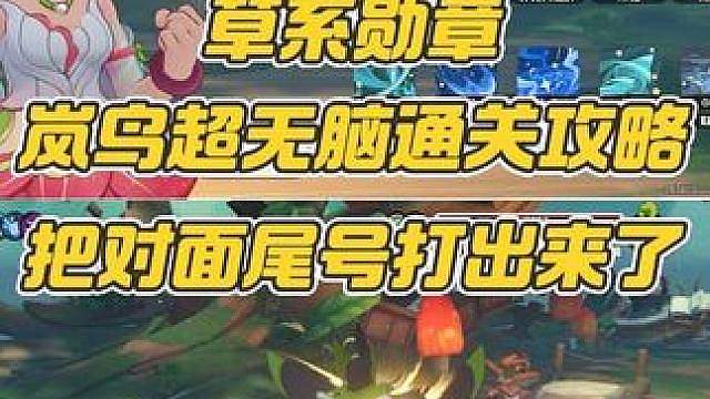 岚鸟超爽连击流打法，二十分钟拿下草系勋章。