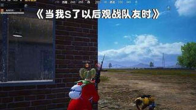 这洋柿子也太权威了