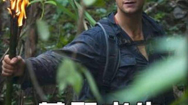 贝爷带着八位中国明星荒野求生