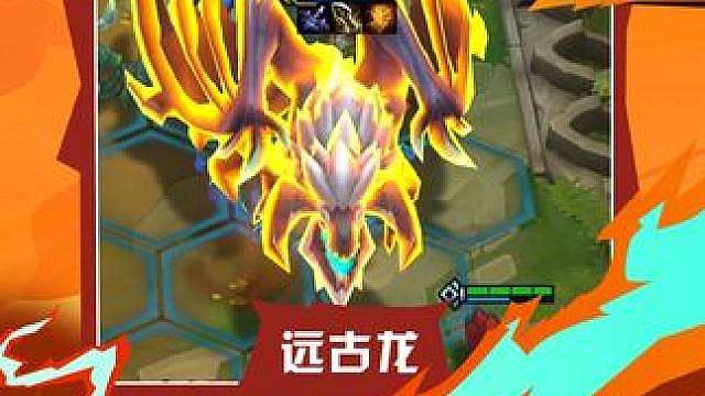 新赛季最轮椅的阵容来了