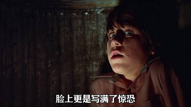 5秒内蜜蜂包围我们！躲进金属桶才幸免于难  