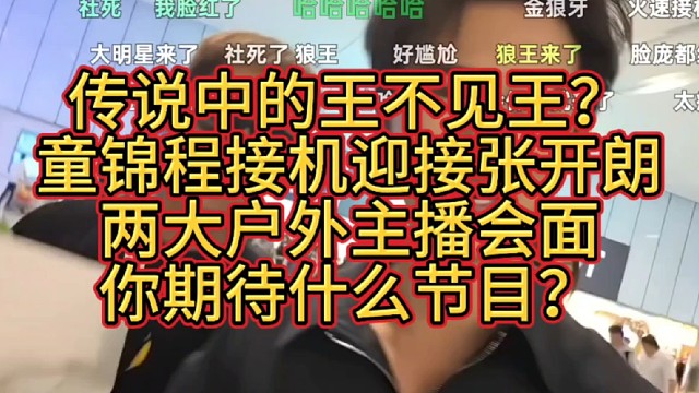张开朗 童锦程  大锤酱