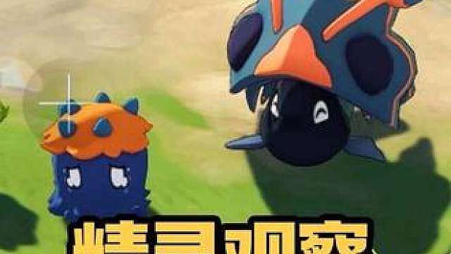 观察一对好朋友：伊贝粉粉和千棘盔。其实异色是远哥粉粉！ #
