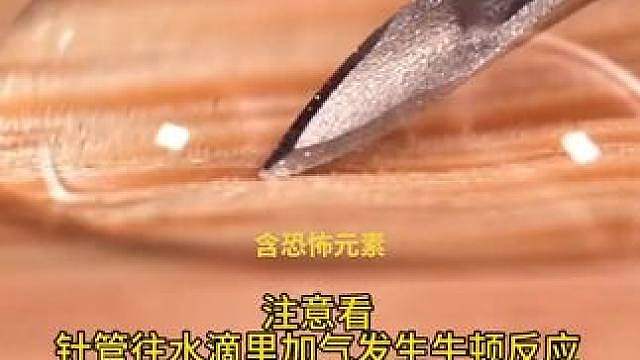 注意看 别划走