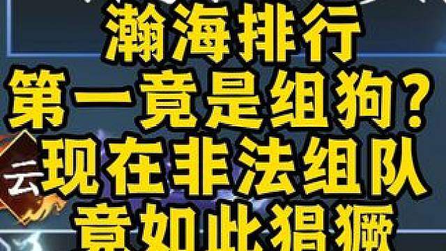 瀚海排行榜第一竟是组狗，嚣张，嘴臭，组狗为什么屡禁不止