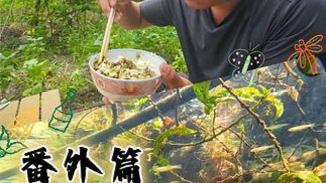 未断更，持续更新，插播杀青宴 石击寒溪收细鳞 直播预告，即将拍新片，结绳侯雉鸡，石击冷水鱼，明宵赠党