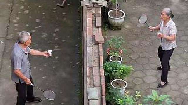 庭院玩耍