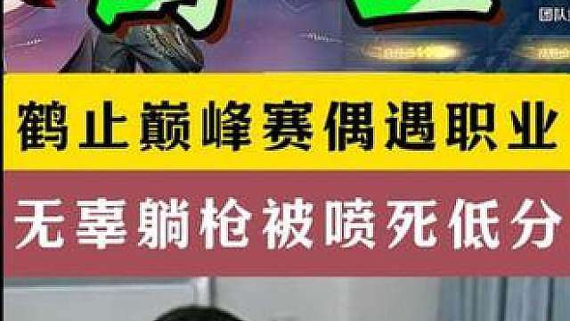鹤止巅峰赛偶遇职业！无辜躺枪被喷死低分！