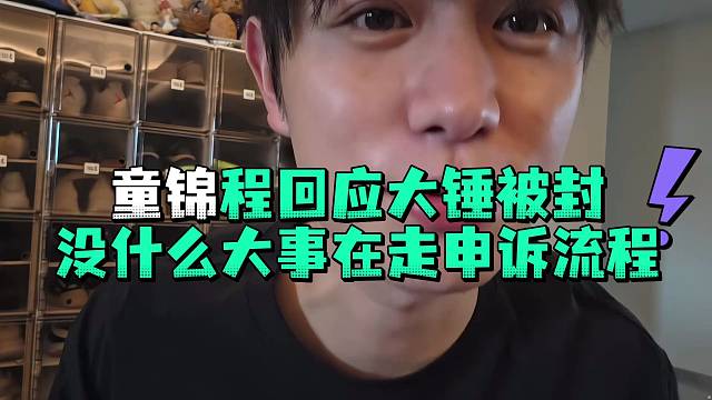 童锦程回应大锤被封没什么大事在走申诉流程