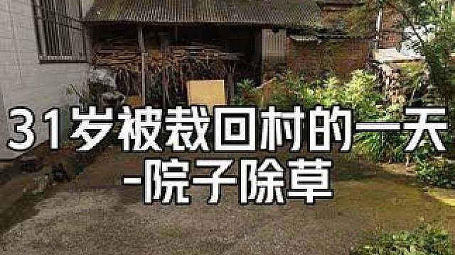 遇到连阴雨天气，院子的草疯涨。 雨停了，趁着凉快把院子的草拔一下，拔完草院子看着干净多了。