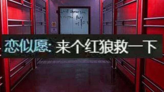 狼真来了！