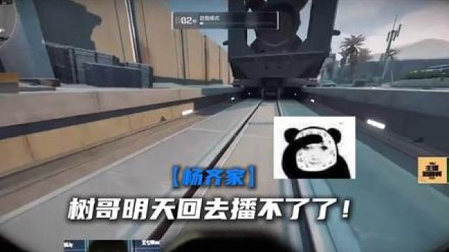 林树巅峰赛现场性情！杨齐家双泽难绷流汗