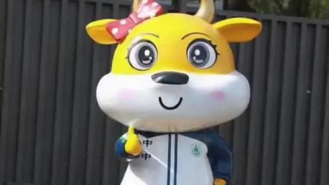 中中也同意跳舞了