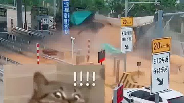 司机的责任