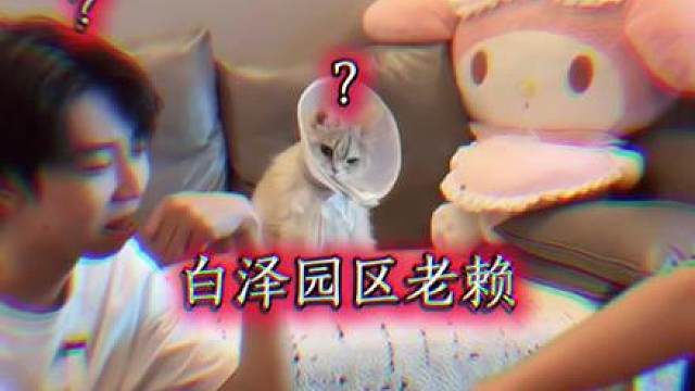 左神和小小烟下五子棋，烟总不愧是园区老赖