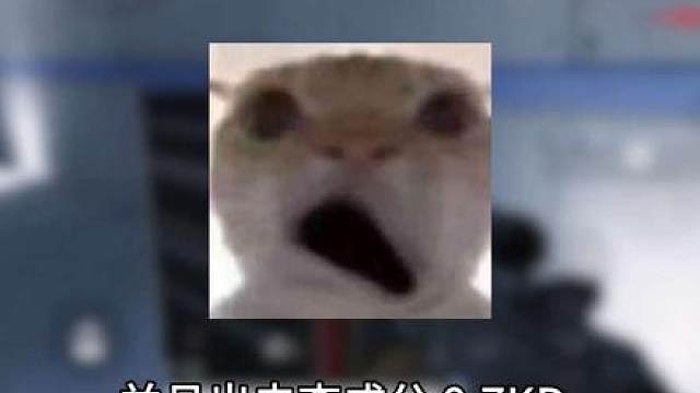 你们有遇到这种情况吗