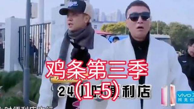 鸡条（1-5）