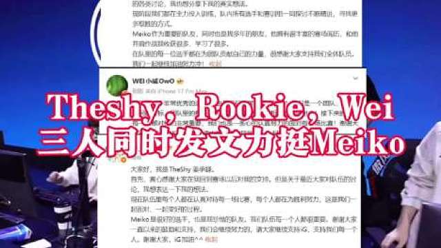 近期大量舆论集中攻击Meiko，满屏要求更换辅助的负面言论持续发酵，即便队伍稳步拿分也没能平息争议。
