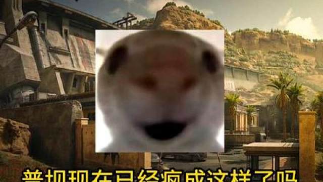普坝现在已经疯成这样了吗。