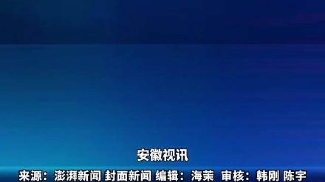 宣布计划近期，整体上调API服务定价，预计涨幅较大。（编辑：海茉）