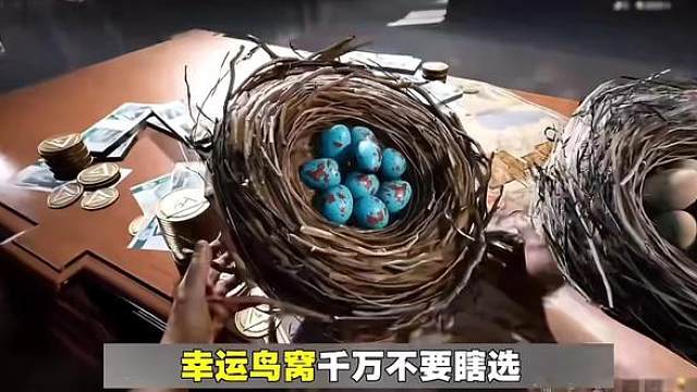幸运鸟窝千万不要错过
