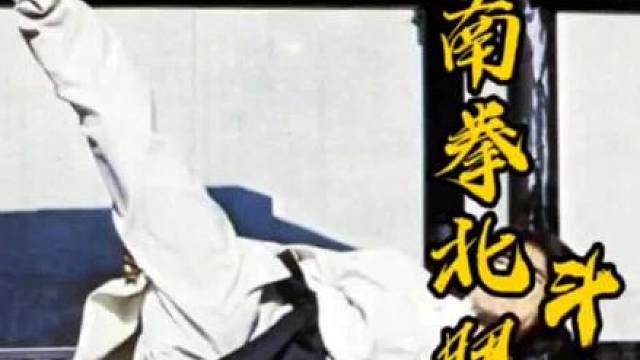 七星连环拳大战龙虎伏魔拳