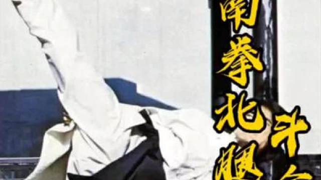 小南拳和北腿大战金狐