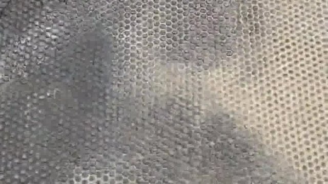 这个坑在哪里？我要把我兄弟们全推下去