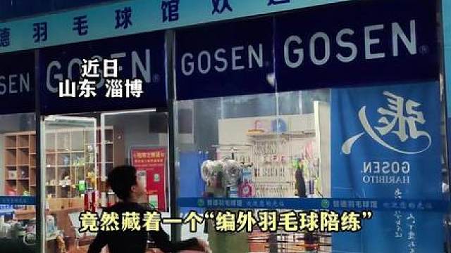 羽毛球馆惊现“编外羽毛球陪练”，一人一猫隔空对打看呆全场球友，猫咪凭手艺给自己挣猫粮