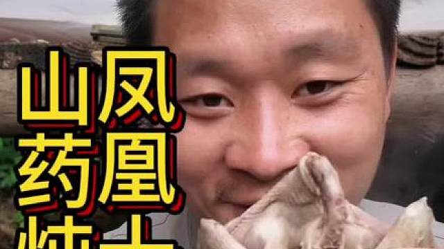 凤凰十五 寻找竹子接水管，山药炖鸡滋味美
