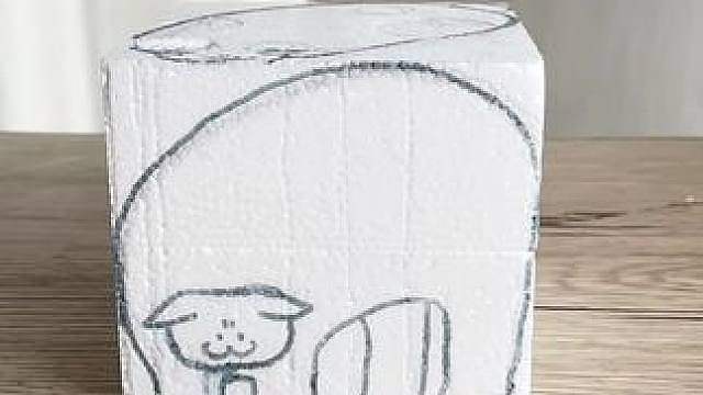 是个胖猫