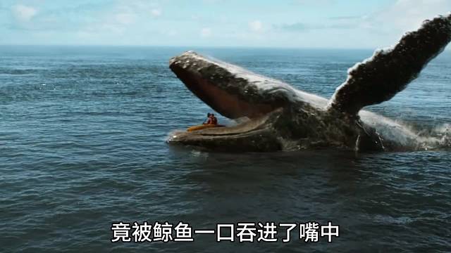 男人在海上开会，竟被鲸鱼一口吞进了肚子