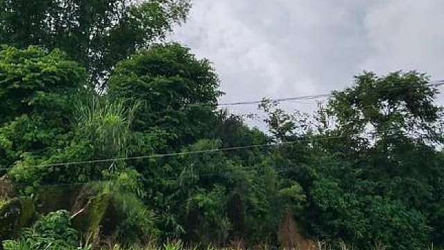 评论区都是喜欢这片玉米地，那就先钻进玉米地里后再跳，孩子们也太开心了吧！