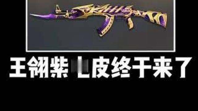 王翎紫电皮终于来了