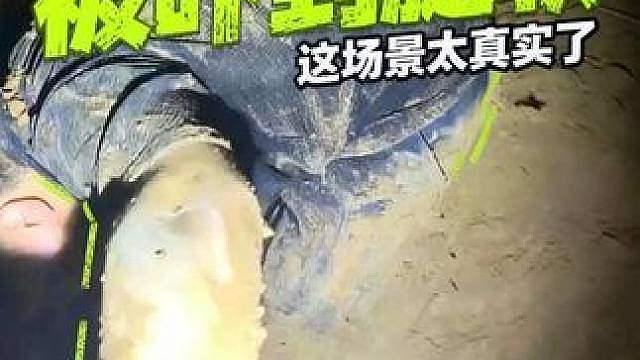 小号晚上21:00直播